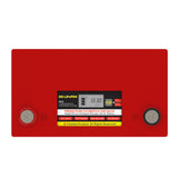 PowerTex Batteries 12V 50Ah LiFePO4 Lithium Iron Phosphate Battery