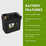 2012 Hyosung GT250 Lithium Iron Phosphate Battery Replacement YTX14-BS LiFePO4 For Motorcyle
