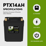 Powertex Batteries YTX14AH-BS LiFePO4 Lithium Iron Phosphate Motorcycle PTX14 Battery